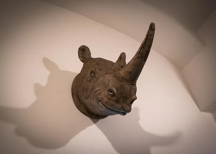 Rhino Studios